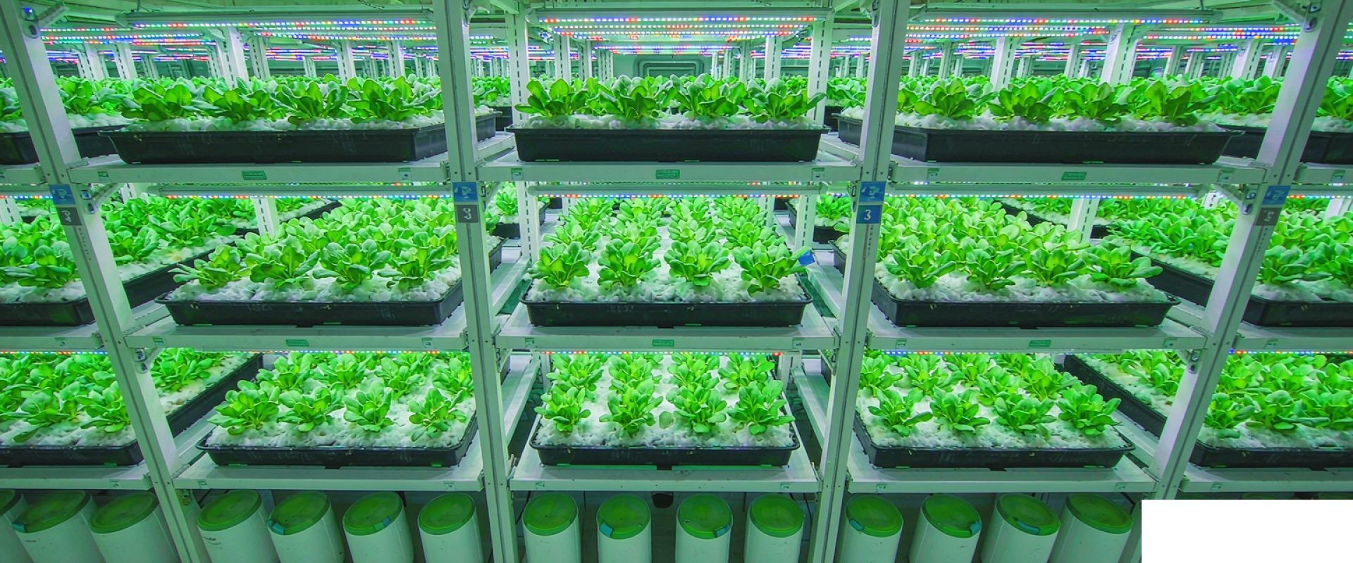 智能立体植物工厂